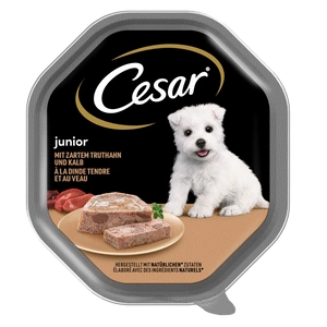 CESAR Junior padėklas 150 g – visavertis šlapias maistas šuniukams, su kalakutiena ir veršiena, paštete