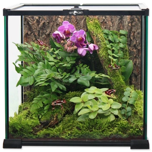 Terariumas 20X20X20