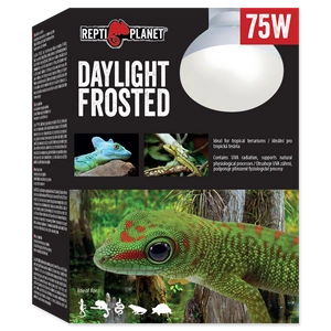 REPTI PLANET dienos šviesos matinė 75W lemputė
