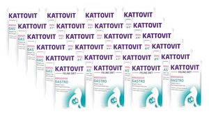 Kattovit Gastro lašiša 24x85g paketėlis