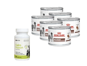 ROYAL CANIN Recovery 6x195g skardinė + LAB-V Calm Support - streso ir elgesio sutrikimų simptomų palaikymas 45 kapsulės