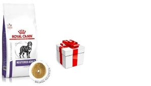 ROYAL CANIN Neutered Adult Large Dog Weight & Osteo 12kg + STAIGMENA ŠUNUI