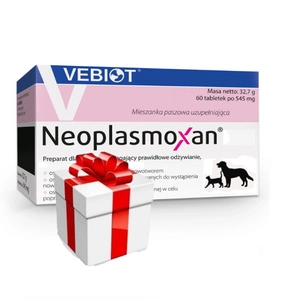 VEBIOT Neoplasmoxan 60 tablečių + Staigmena Šunui