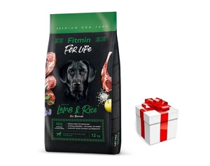 FITMIN dog For Life Lamb & Rice 12 kg + STAIGMENA ŠUNUI