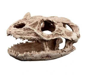 Terra Natura Terrarium dekoravimo slėptuvė reptilozauro kaukolė 19cm