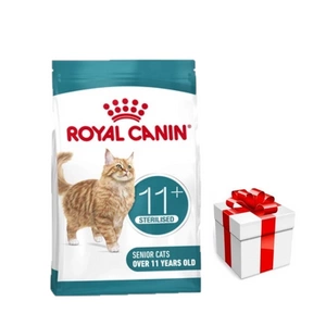 ROYAL CANIN Ageing Sterilised 11+ 4 kg sauso ėdalo suaugusioms vyresnėms nei 11 metų katėms, sterilizuotas + Staigmena katei
