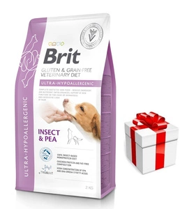 BRIT GF Veterinary Diets Dog Ultra-Hypoallergenic Insect 2kg  + STAIGMENA ŠUNUI