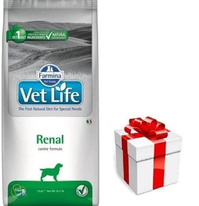 FARMINA Vet Life Dog Renal 12kg + STAIGMENA ŠUNUI