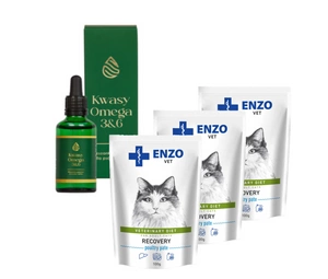 ENZO VET Recovery katėms 3x100g + LAB-V Omega 3 ir 6 riebalų rūgštys bendrai šunų ir kačių sveikatos, kailio ir odos būklei gerinti 100ml
