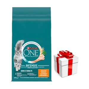 Purina One Adult Chicken & Wheat kačių ėdalas 9,75 kg + Staigmena katei