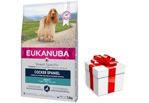 EUKANUBA Adult Cocker Spaniel 7,5kg + STAIGMENA ŠUNUI