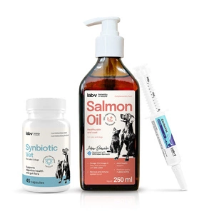 Lab-v Pet Care Box MINI – Dovanų rinkinys šunims