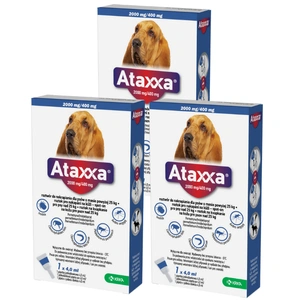 3x KRKA Ataxxa 2000 mg/400 mg lašai šunims, sveriantiems daugiau nei 25 kg