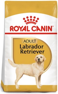 ROYAL CANIN Labrador Retriever Adult 12kg sausas ėdalas suaugusiems labradoro retriverių veislės šunims