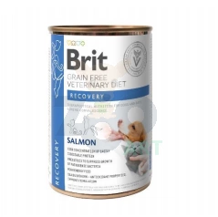BRIT GF Veterinary Diets Recovery Salmon 400g - drėgnas maistas katėms ir šunims