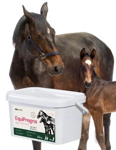 Lab-v EquiPregna - papildomas pašaras nėščioms ir žindančioms kumelaitėms nėštumui, vaisiaus vystymuisi ir pieno gamybai palaikyti 2kg