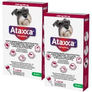2x KRKA Ataxxa 1250 mg/250 mg lašai šunims, sveriantiems nuo 10 kg iki 25 kg