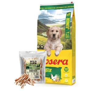 JOSERA YoungStar - be grūdų 12,5 kg