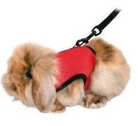 TRIXIE Triušio petnešos su pavadėliu