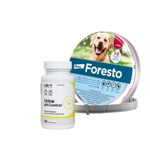 ELANCO Foresto Antkaklis šunims virš 8kg + LAB-V Šlapimo pH kontrolė - parama šunims ir katėms, sergantiems struvito akmenlige 45 kapsulės