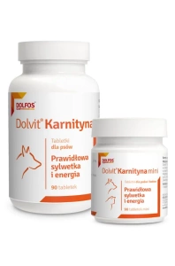 Dolvit Karnitinas 90 tab.