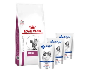 ROYAL CANIN Renal Feline RF 23 4kg + ENZO VET Renal su jautiena želė katėms 3x100g