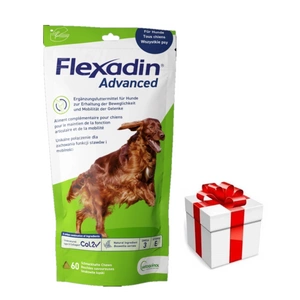 VETOQUINOL Flexadin Advanced 60 kąsnių + Staigmena Šunui