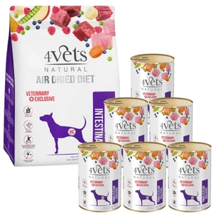 DOLINA NOTECI 4Vets Natural Gastro Intestinal Kit; sausas maistas 1kg + drėgnas maistas 6x400g