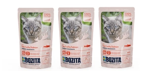 BOZITA Lašišos paplotėliai su padažu (paketėlis) 3x85g