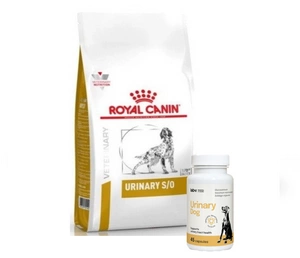 Royal Canin Urinary S/O 13kg + LAB-V Urinary Dog - Pagalba šunims sergant šlapimo takų infekcija 45 kapsulės