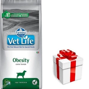 FARMINA Vet Life Dog Obesity 12kg + STAIGMENA ŠUNUI