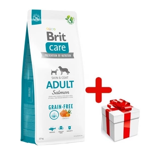 BRIT CARE Grain-free Adult Salmon 12kg  + STAIGMENA ŠUNUI