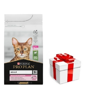 PRO PLAN Delicate Digestion suaugusių kačių ėdalas su ėriena 1,5kg + STAIGMENA KATEI