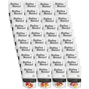 DOLINA NOTECI Dish Mix Flavours 40x300g šlapias maistas šunims