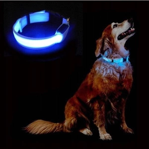 Mirksintis LED antkaklis šunims, 58 cm spalvų derinys