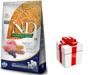 Farmina N&D LAMB BLUEBERRY MEDIUM MAXI 12kg + STAIGMENA ŠUNUI