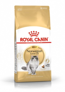 ROYAL CANIN Norvegian Forest Cat Adult 2kg sauso ėdalo suaugusioms Norvegijos miško katėms