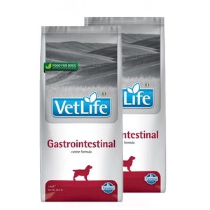FARMINA Vet Life Dog Gastrointestinal 2x12kg