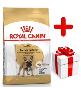 ROYAL CANIN French Bulldog Adult 9kg + STAIGMENA ŠUNUI