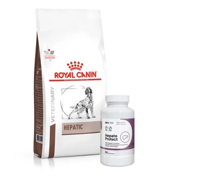 ROYAL CANIN Hepatic HF 16 12kg + LAB-V Hepato Protect 90 kapsulių