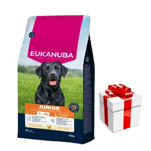 EUKANUBA Junior Large 15kg + Staigmena Šunui