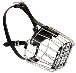 DINGO stovykla Nr. 9a Kaukazo aviganis