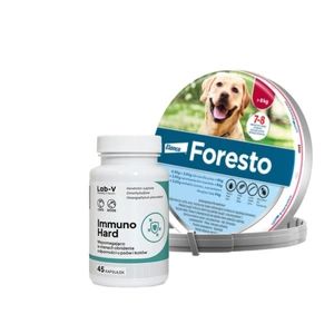 ELANCO Foresto Antkaklis šunims virš 8kg + LAB-V Immuno Hard - imuniteto stiprinimas šunims ir katėms 45 kapsulės
