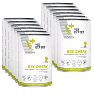 VETEXPERT  Veterinary Diet Recovery 12x400g