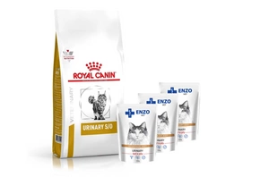 ROYAL CANIN Šlapimo S/O LP34 400g + ENZO VET šlapalas su jautiena želė katėms 3x100g
