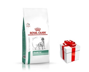 ROYAL CANIN Diabetic DS 37 12kg + STAIGMENA ŠUNUI
