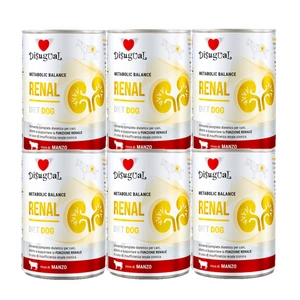 Disugual Veterinary drėgnas šunų maistas RENAL Beef (suaugusiems) 6x400g