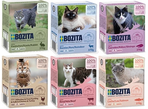 BOZITA Cat šešių skonių pakuotė su padažu 6 x 370g