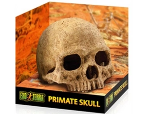 EXO-TERRA slėptuvė ExoTerra kaukolė EX-8558