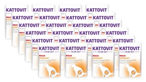 Kattovit Urinary Urinary veršiena 24x85g paketėlis
